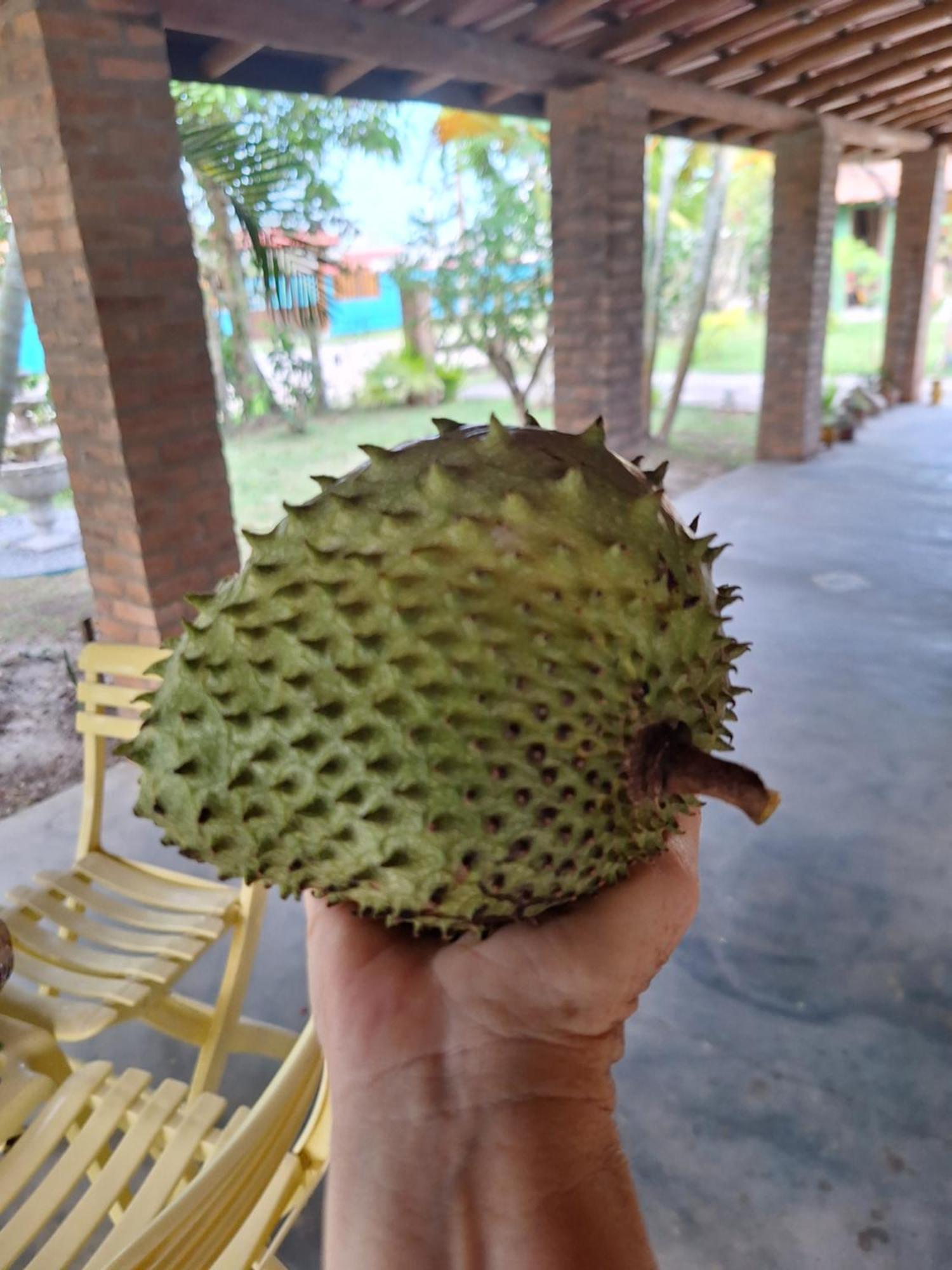 Casas Lindas No Paraiso! Costa Dourada Kültér fotó