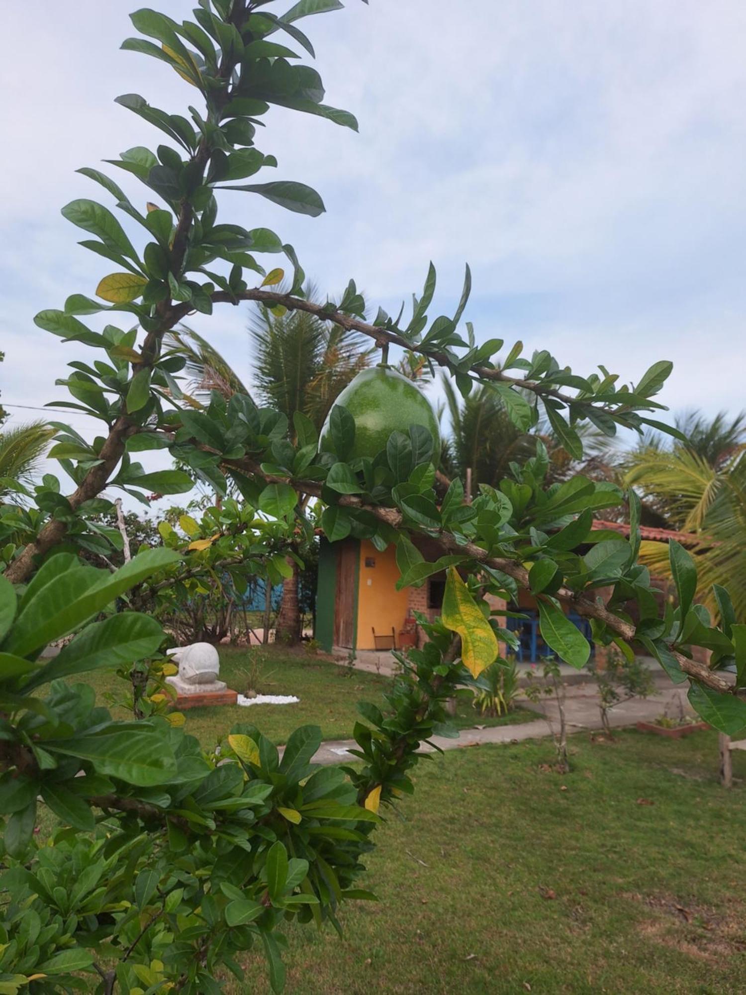 Casas Lindas No Paraiso! Costa Dourada Szoba fotó